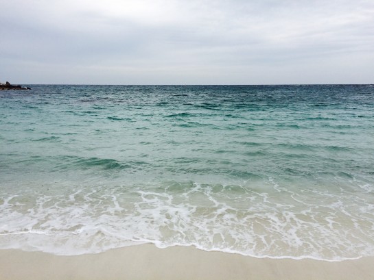 くわも、桑本、affect、アフェクト、名古屋、美容師、新瑞橋、