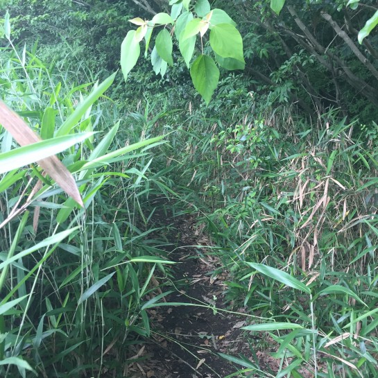 くわも,桑本,affect,アフェクト,名古屋,美容師,新瑞橋