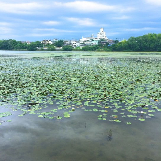 くわも,桑本,affect,アフェクト,名古屋,美容師,新瑞橋