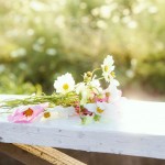 お盆休み、くわも休みのお知らせ。