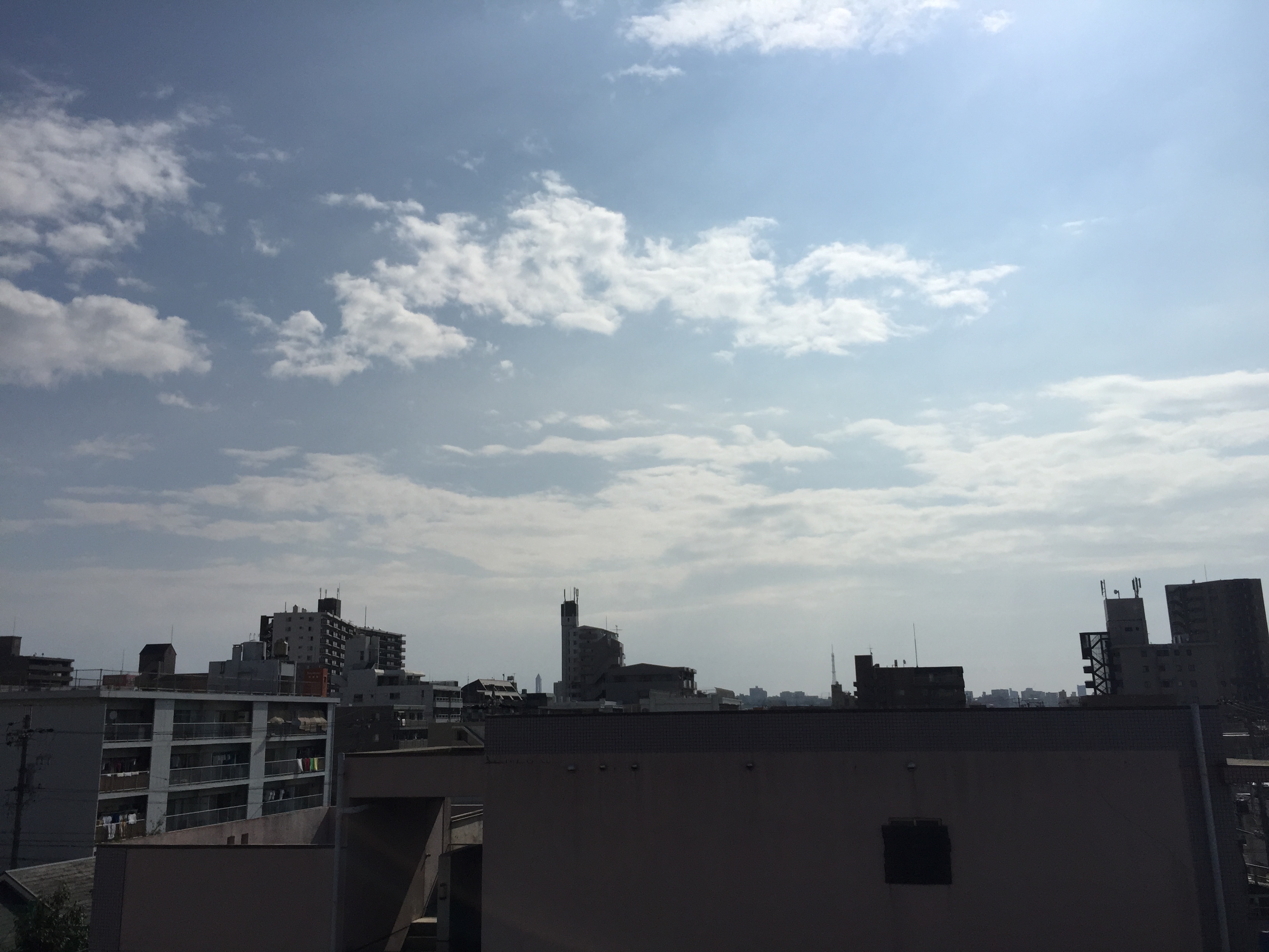 くわも,桑本,affect,アフェクト,名古屋,美容師,新瑞橋