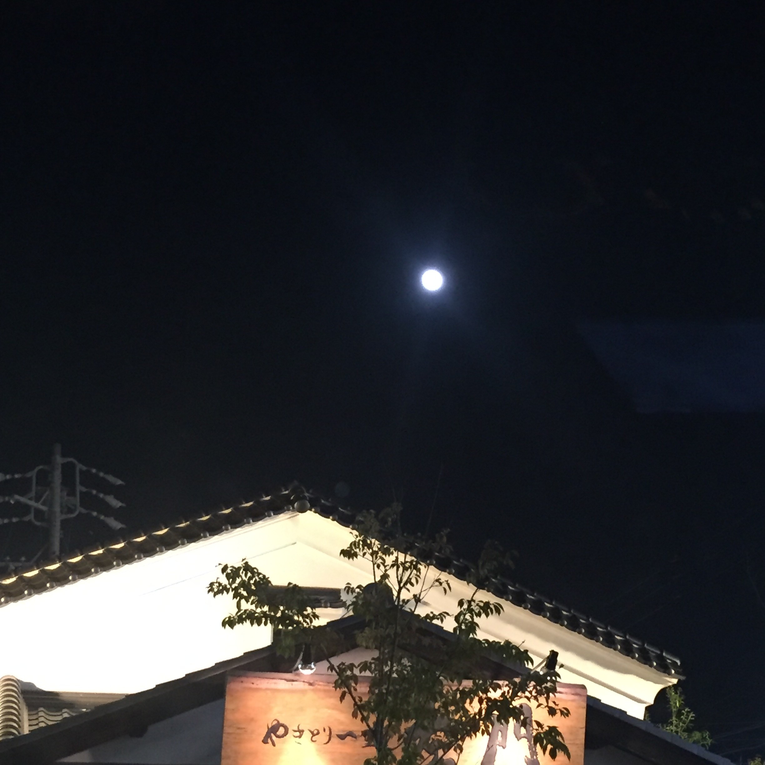 くわも,桑本,affect,アフェクト,名古屋,美容師,新瑞橋