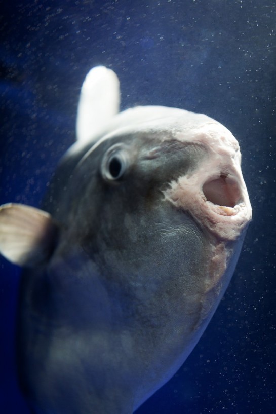 くわも,桑本,affect,アフェクト,名古屋,美容師,新瑞橋