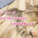 シルバーウィーク【9/21(月)〜9/23(水)】も休まず営業します！