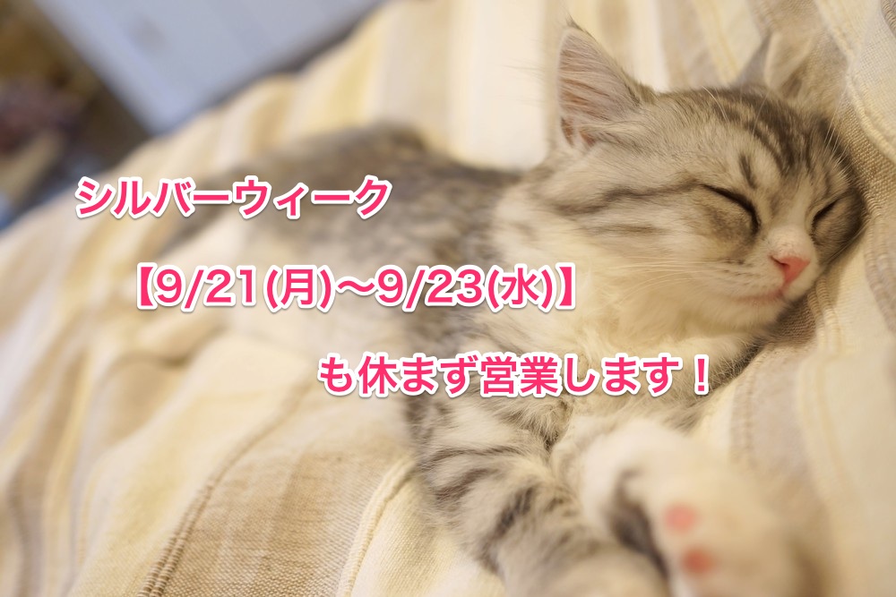 くわも,桑本,affect,アフェクト,名古屋,美容師,新瑞橋