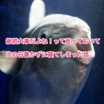 継続大事だよね！って言って置いて次の日書かずに寝てしまった話。