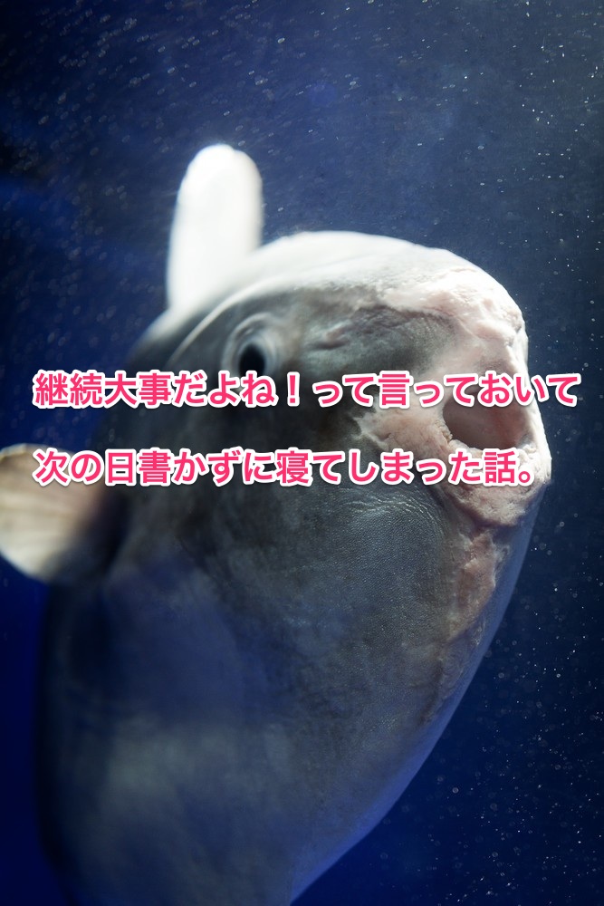 くわも,桑本,affect,アフェクト,名古屋,美容師,新瑞橋