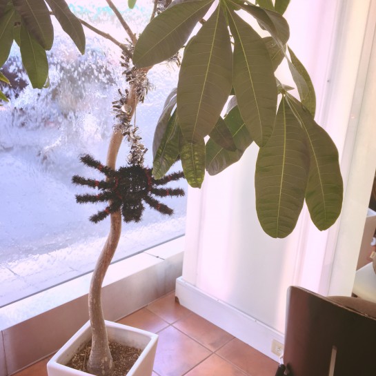 くわも,桑本,affect,アフェクト,名古屋,美容師,新瑞橋くわも,桑本,affect,アフェクト,名古屋,美容師,新瑞橋