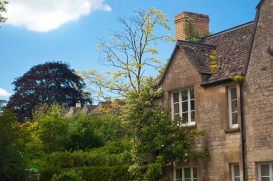 くわも,桑本,affect,アフェクト,名古屋,美容師,新瑞橋くわも,桑本,affect,アフェクト,名古屋,美容師,新瑞橋