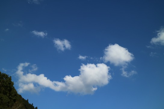 くわも,桑本,affect,アフェクト,名古屋,美容師,新瑞橋くわも,桑本,affect,アフェクト,名古屋,美容師,新瑞橋