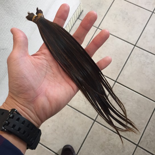 写真 2016-01-31 10 16 52