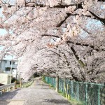 春ってなにか気分変えたくなる季節ですよね☆