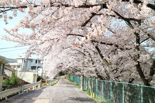 くわも,桑本,affect,アフェクト,名古屋,美容師,新瑞橋くわも,桑本,affect,アフェクト,名古屋,美容師,新瑞橋