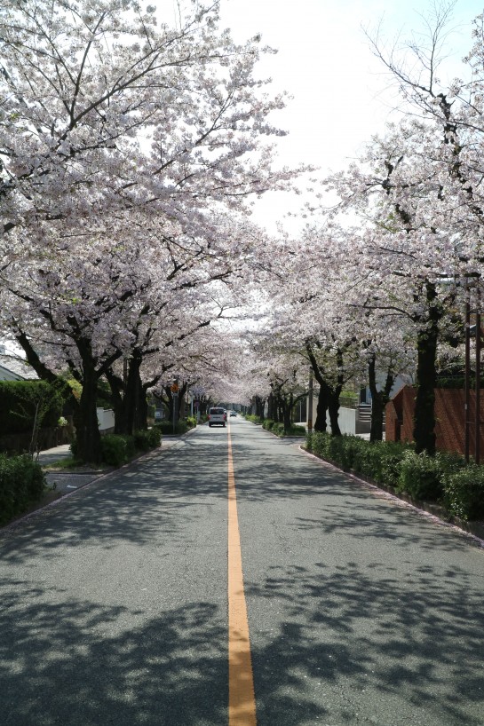 くわも,桑本,affect,アフェクト,名古屋,美容師,新瑞橋くわも,桑本,affect,アフェクト,名古屋,美容師,新瑞橋