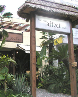 hair make affect south