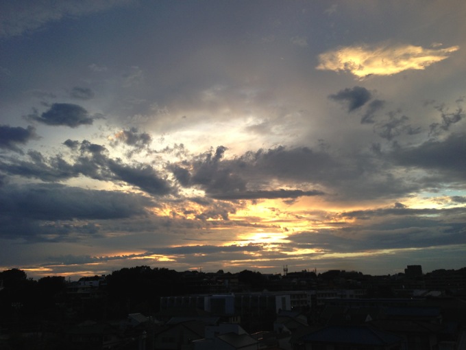 IMG_3539.JPG IMG 3539