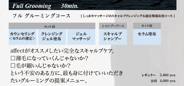 affect_ルードブラック_メニュー_1